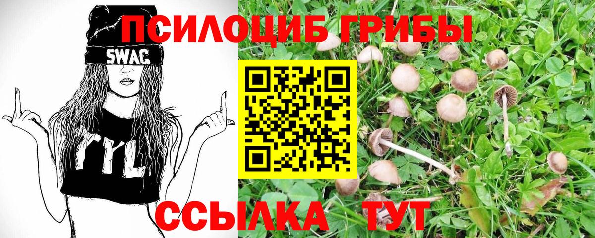 Галлюциногенные грибы Cubensis Рассказово