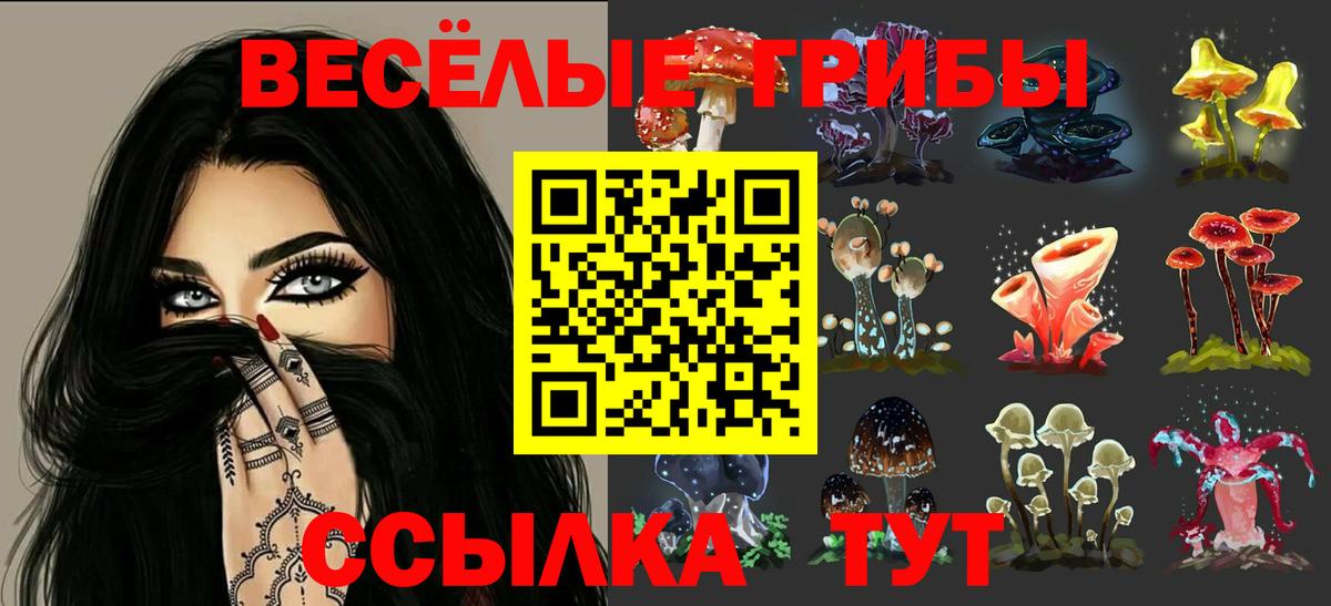 Галлюциногенные грибы GOLDEN TEACHER  Псилоцибиновые грибы ЛСД  Рассказово  Вход с VPN 